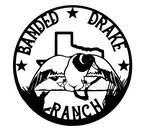 Banded Drake